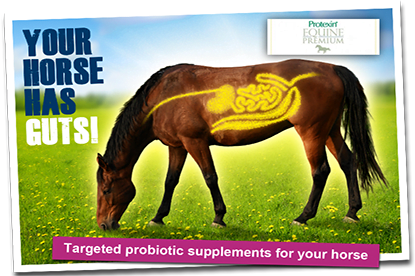 Protexin Equine Premium