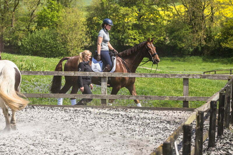 Dressage Training