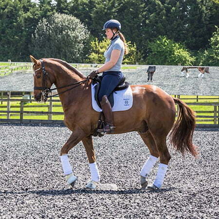 Hallingbury Hall Equestrian Centre