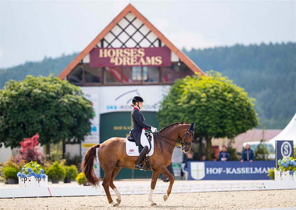 Hallingbury Hall Equestrian Centre