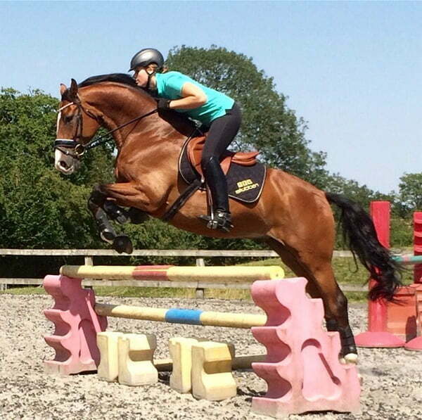 Hallingbury Hall Equestrian Centre